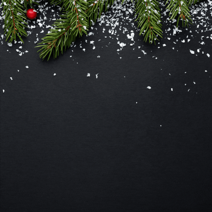 Christmas 2022 - Here's What You Need to Know About Christmas,Rudolph the Red-Nosed Reindeer,Jingle Bells,Cookies and Milk for Santa and First Christmas Tree
