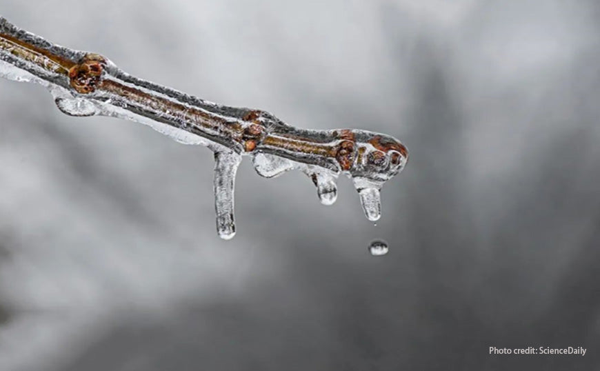 Surprising Shapes of Ice Melt Found in Lab